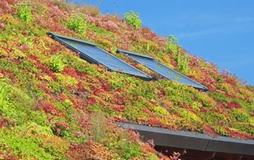 Watergore living roof systems
