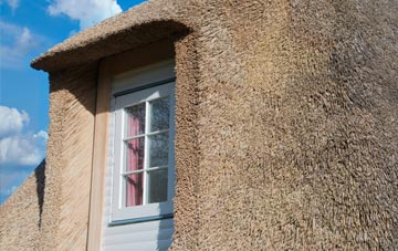 Watergore thatch roof disadvantages
