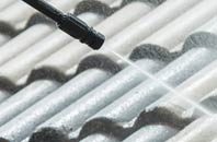 rated Watergore roof cleaning companies