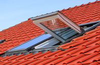 Watergore roof window
